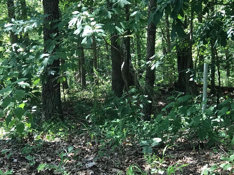 1st image of Rori Ln #9