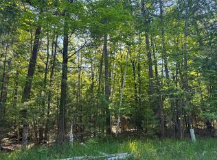 6310 Link Blvd, Indian River, MI 49749