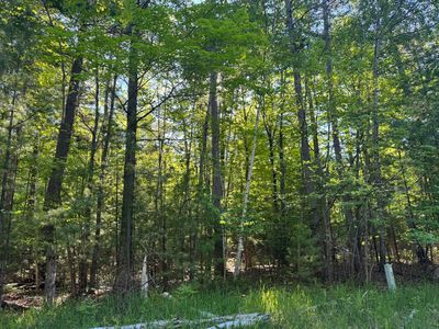 6310 Link Blvd, Indian River, MI, 49749