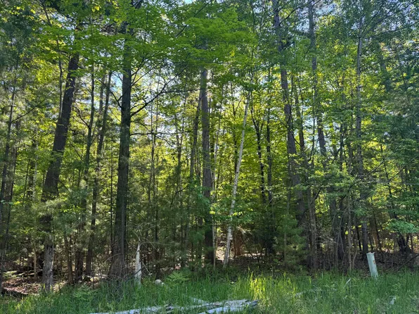 6310 Link Blvd, Indian River, MI 49749