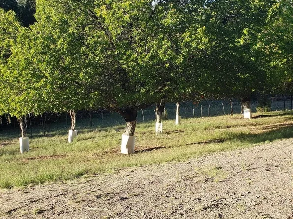 260 Mineral Creek Rd, Glenwood, NM 88039