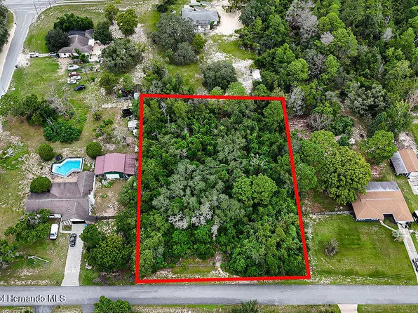 12365 Barrow St, Spring Hill, FL 34609