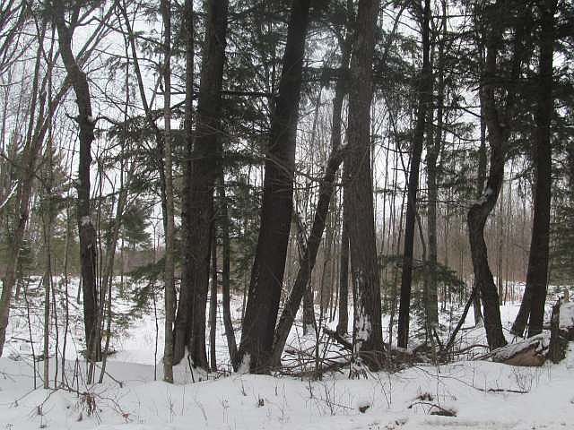 1st image of ON W ENTERPRISE LAKE RD #21 Acres