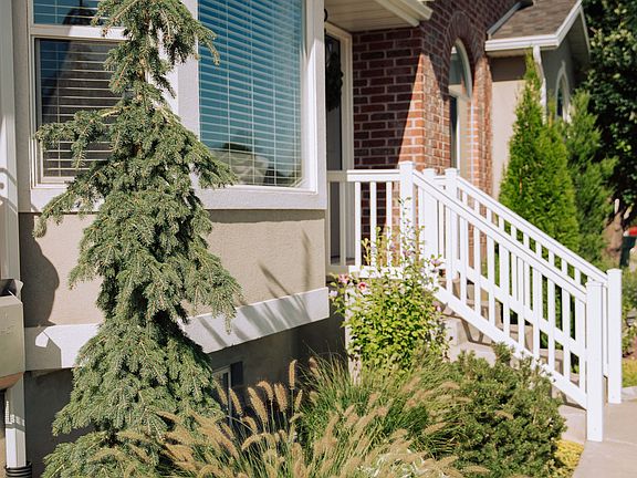 Front Yard Landscaping
