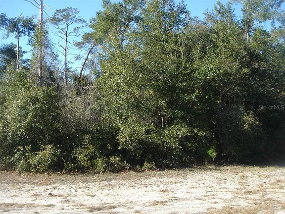 5th image of 1836 Bonkirk Dr