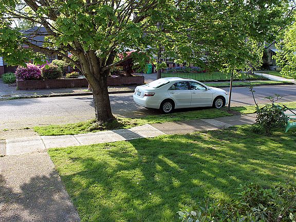 Front Yard, street