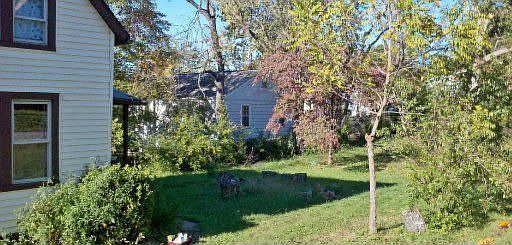 3rd image of 2341 Adair Ave