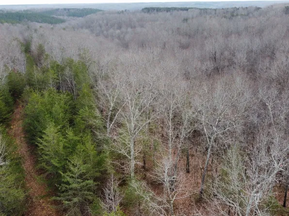 545 Howard Switch Rd, Hohenwald, TN 38462