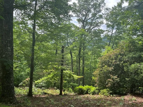 40 Burger Rd, Murphy, NC 28906