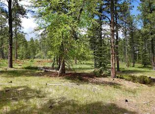 21674 Legal Tender Trl, Nemo, SD 57759