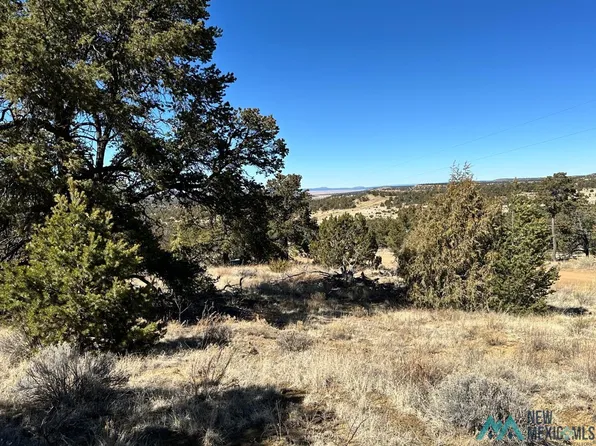 Xx Latigo Loop, Pie Town, NM 87827