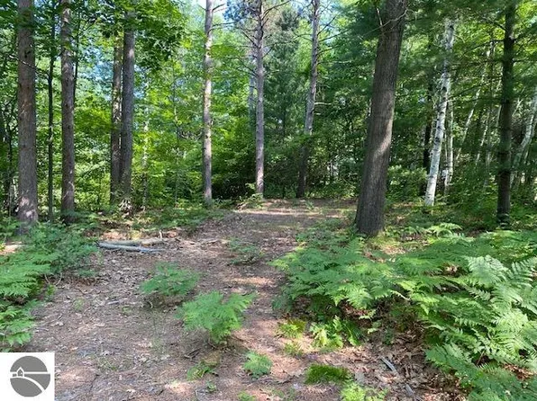 11670 Petobego Pines Ln, Williamsburg, MI 49690