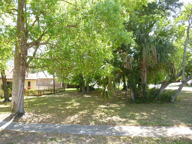 Lovely shaded picnic grove