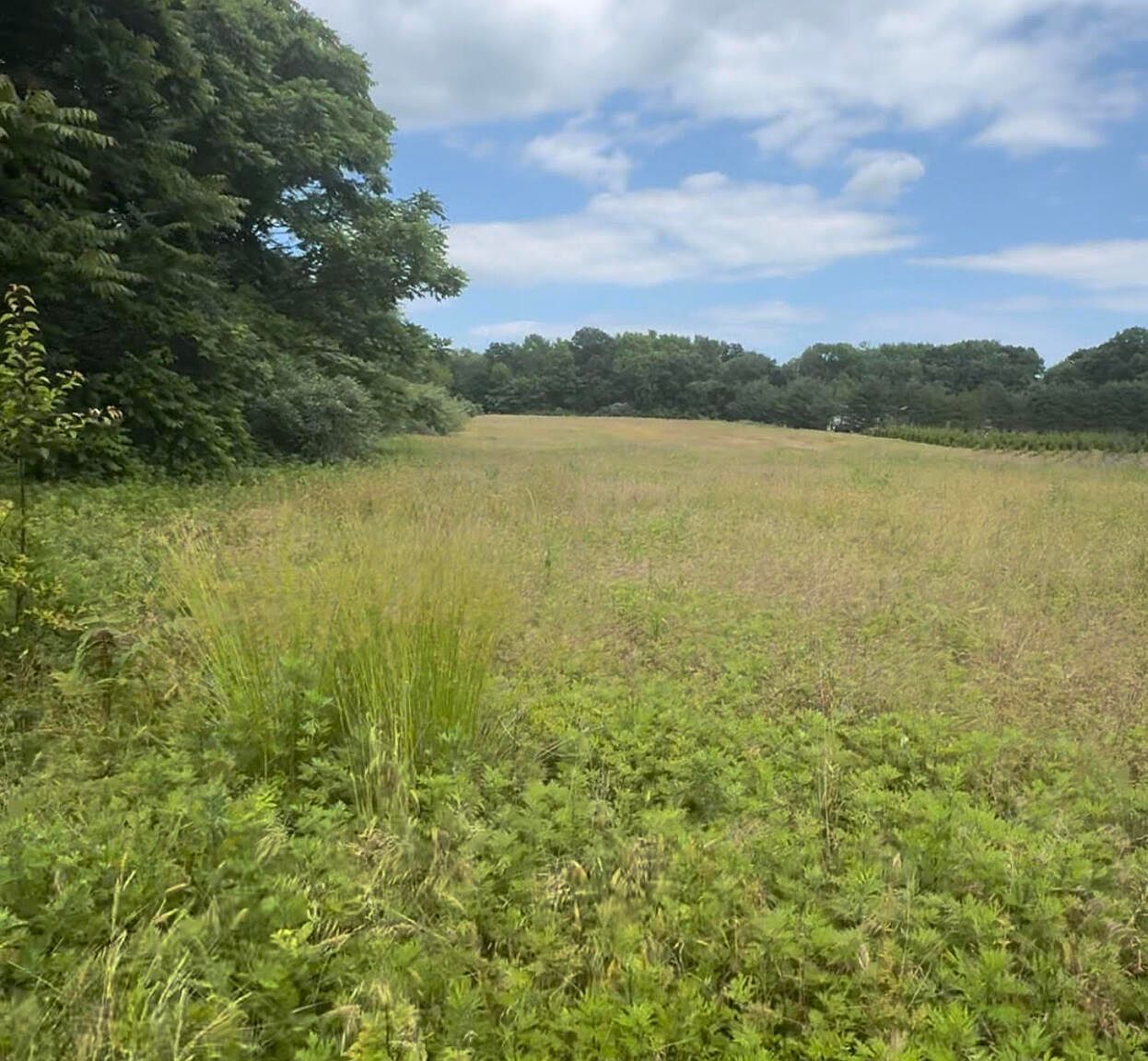 371 Colts Neck Road, Farmingdale, NJ 07727 MLS 22420118 Zillow