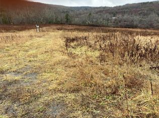 468 Fairfield Rd, Newark Valley, NY 13811