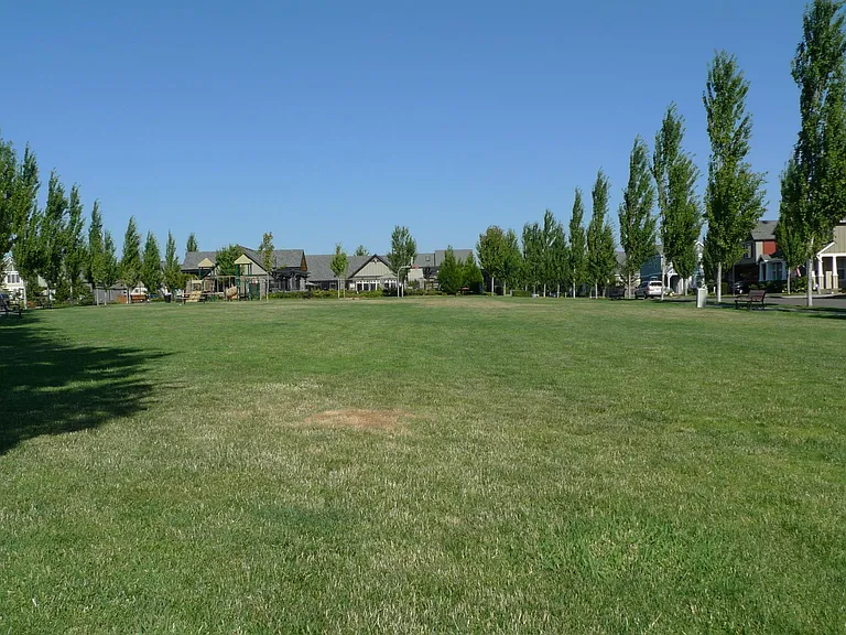Common ground with big field to enjoy