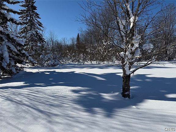 5th image of 5679 Salmon River Rd