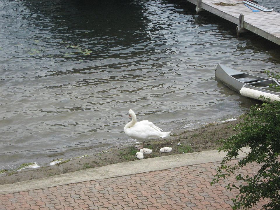 2nd image of 8499 Harbortowne Dr