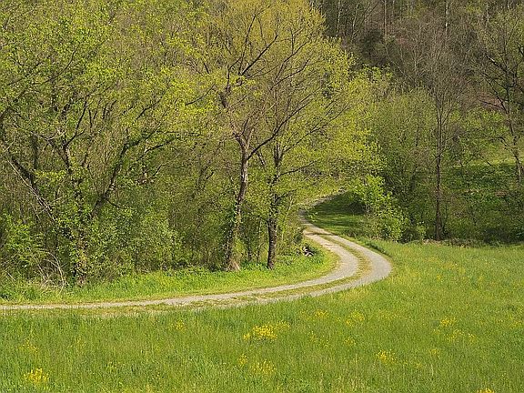 4th image of 1125 Robinette Valley Rd