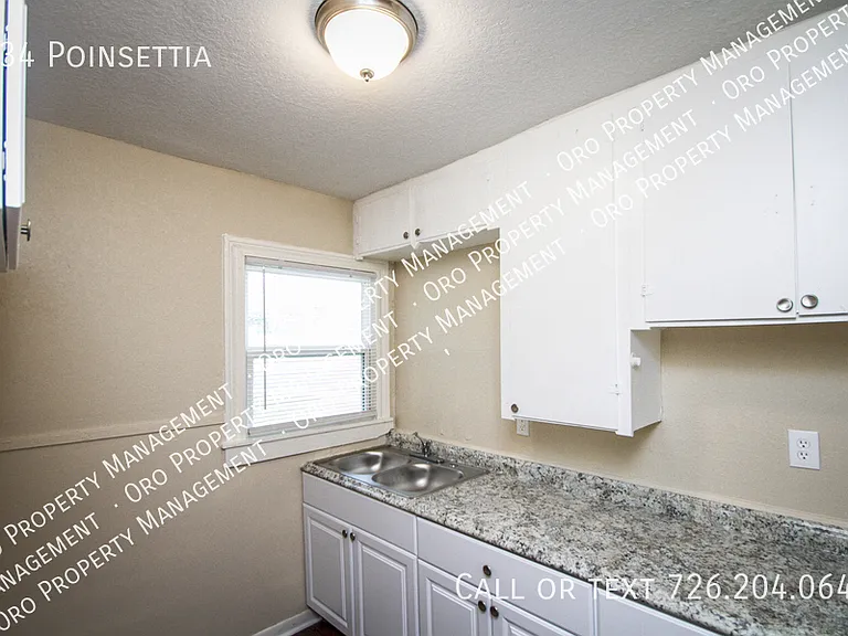934 Poinsettia — Photo 15