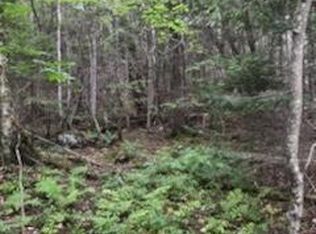 Calvin Gray Rd, Phillips, ME 04966