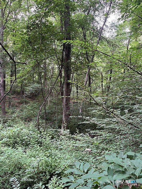 2nd image of 22 1/2 Country Ridge Road