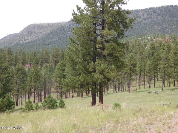 LOT 14 The Ranch At, Alpine, AZ 85920