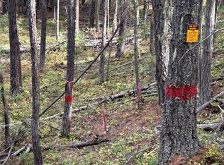 Granite Creek Rd, Libby, MT 59923