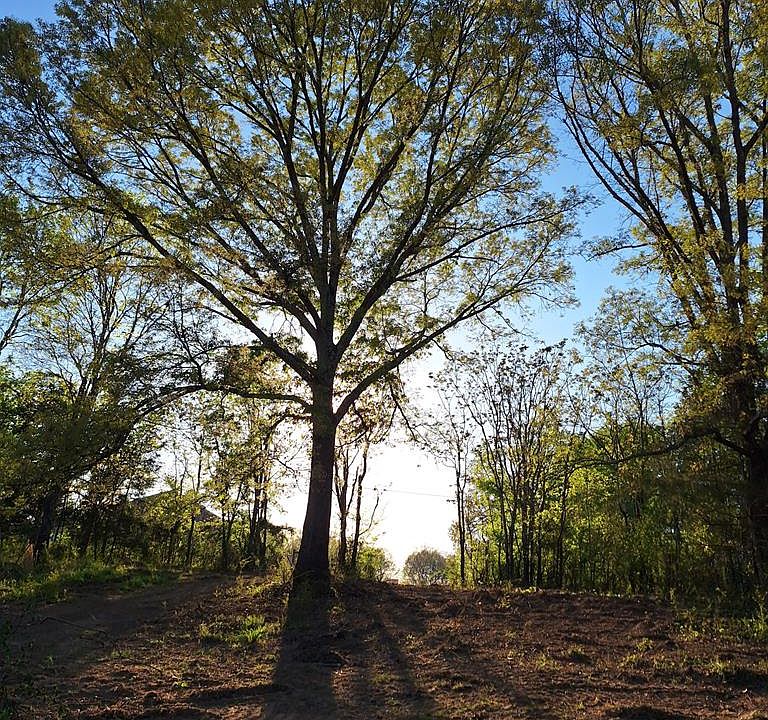 1st image of 1 Bone Cave Rd