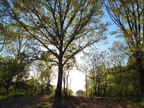 1 Bone Cave Rd, Rock Island, TN 38581