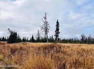0 Handcart Rd, Anchor Pt, AK 99556