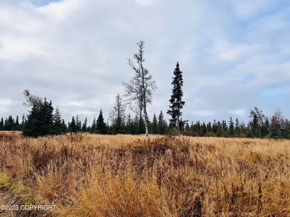 0 Handcart Rd, Anchor Pt, AK 99556