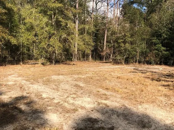  103rd Pl, O'Brien, FL 32071