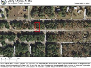 0 SE 113th Street Rd, Ocklawaha, FL 32179