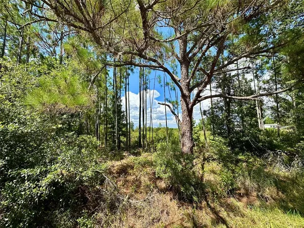 Oil Well Rd, Clermont, FL 34714