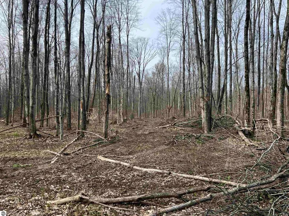 7742 Starvation Lake Rd NE, Mancelona, MI 49659