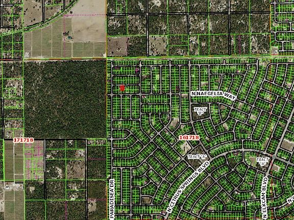 5th image of 3908 W Matilda Ln