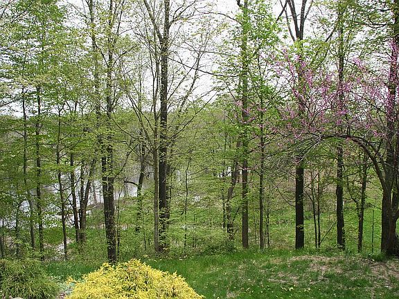 Thornapple River frontage