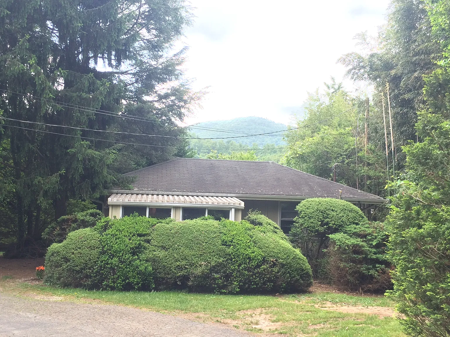 1 bed, $1,250 — Photo 1
