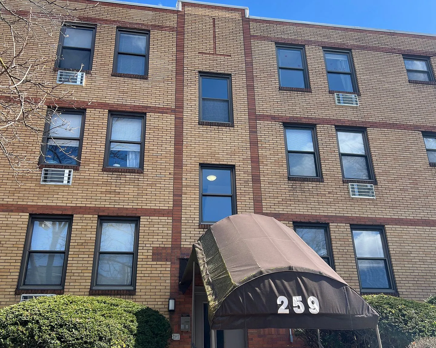 259 Shady Avenue — Photo 2