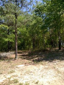 1024 McNutt Way, Augusta, GA, 30906