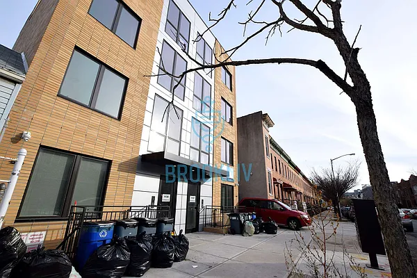 Rented by null | media 11