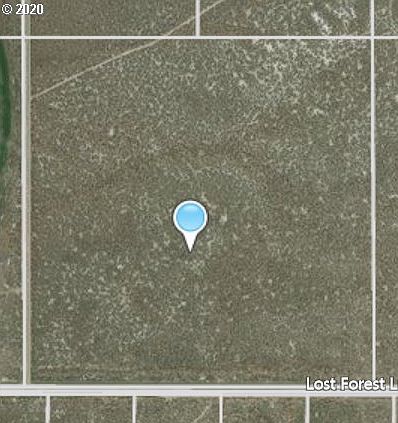 2nd image of Lost Forest Ln