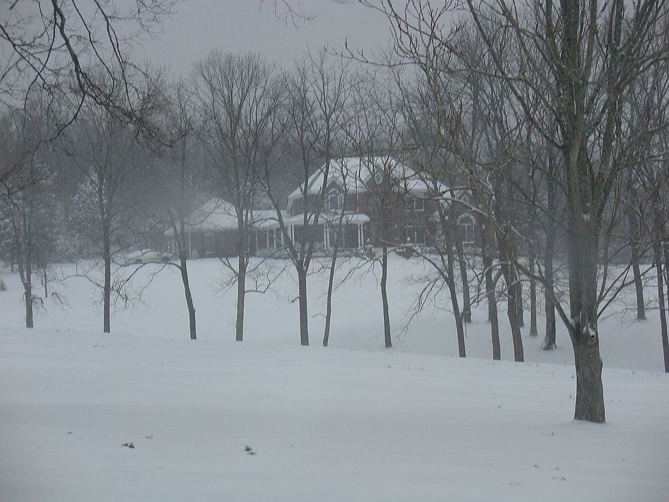 winter wonderland