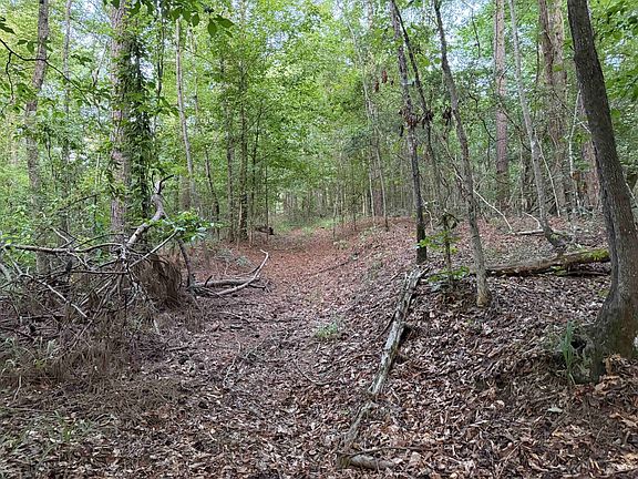 5th image of 12040 Attala Rd