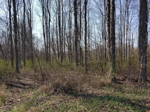 8295 Horn Rd, Gambier, OH 43022