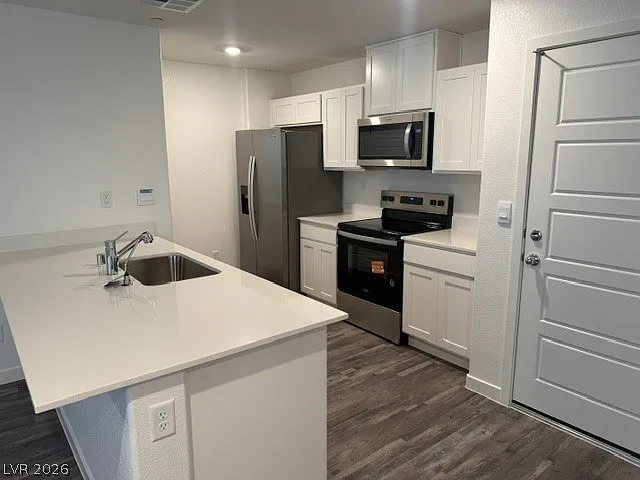 920 Rosy Starling St — Photo 4