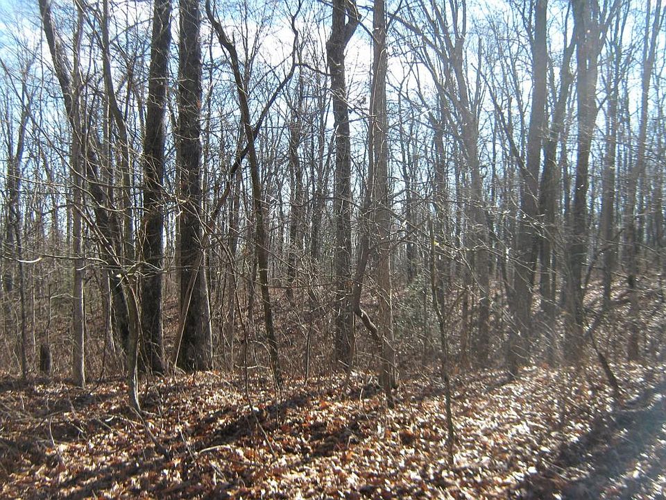 1st image of Running Deer