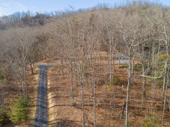 763 Bear Cub Trl, White Sulphur Springs, WV 24986