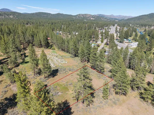 146 & 156 Cougar Way, Portola, CA 96122